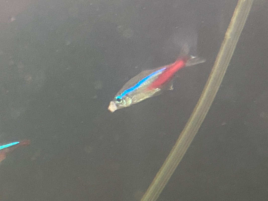 DE465110-4A05-4EFF-A274-4248325BE766