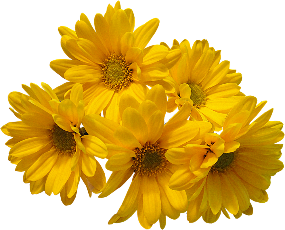 Yellow-Flowers-Bouquet-PNG-Transparent-I