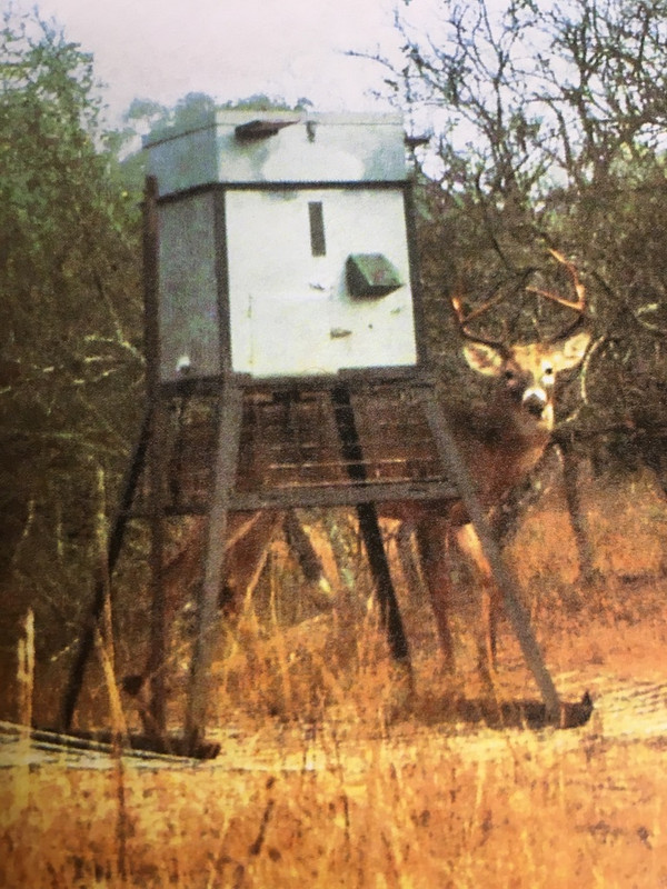 EE0C0D58-F49A-406D-81E4-959FBD360145_1_105_c