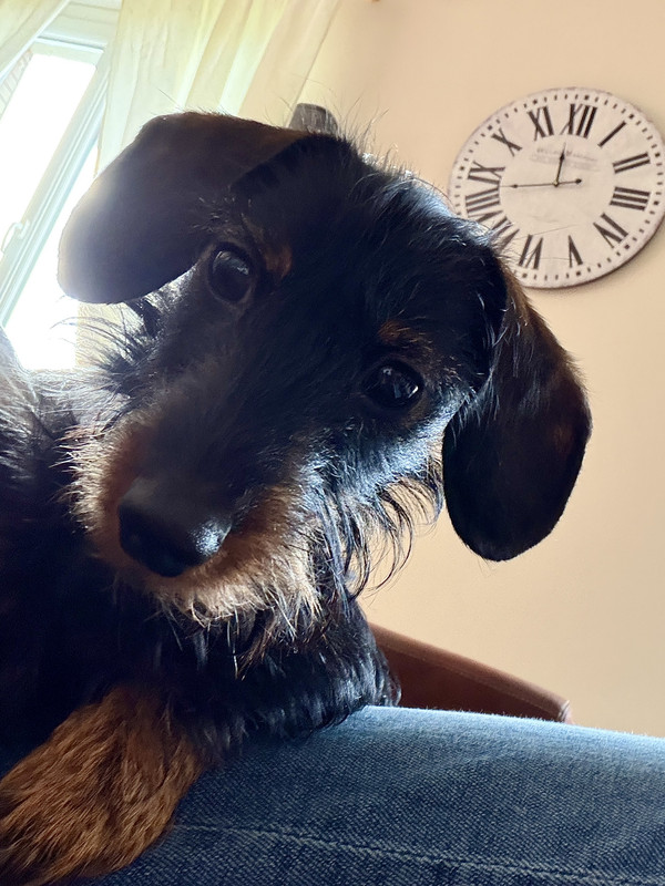 [Image: IMG-0623.jpg]