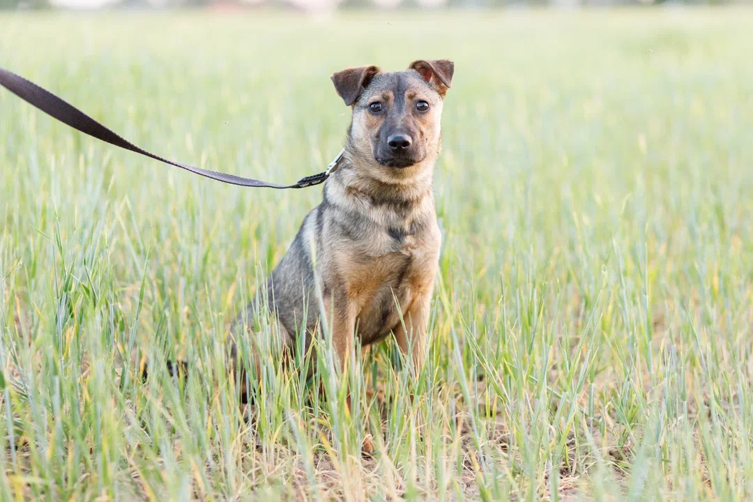 Kh53S8KT7ASqBOO_1WO6cEdqon4EVPiQh9uBknF__jFMMRWCobWpTvMXvyYRvfuucZZEUry2PK2ZThDIPuXUuQ==?uid=0&filen