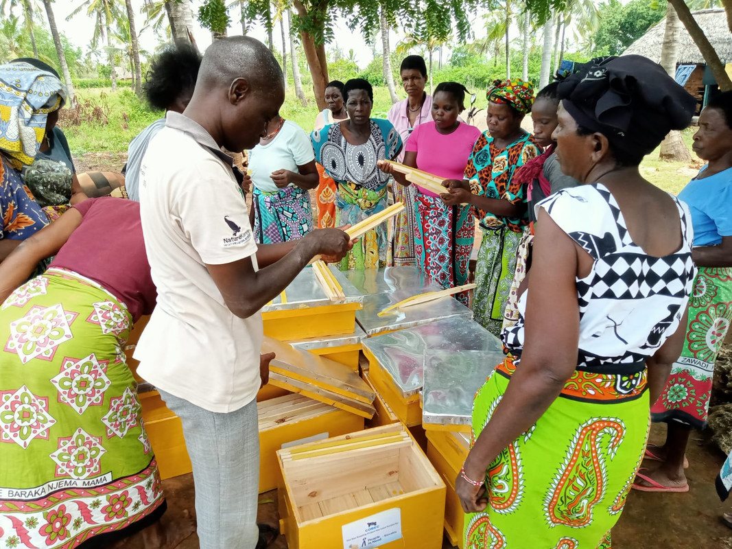 Women-receiving-beehives