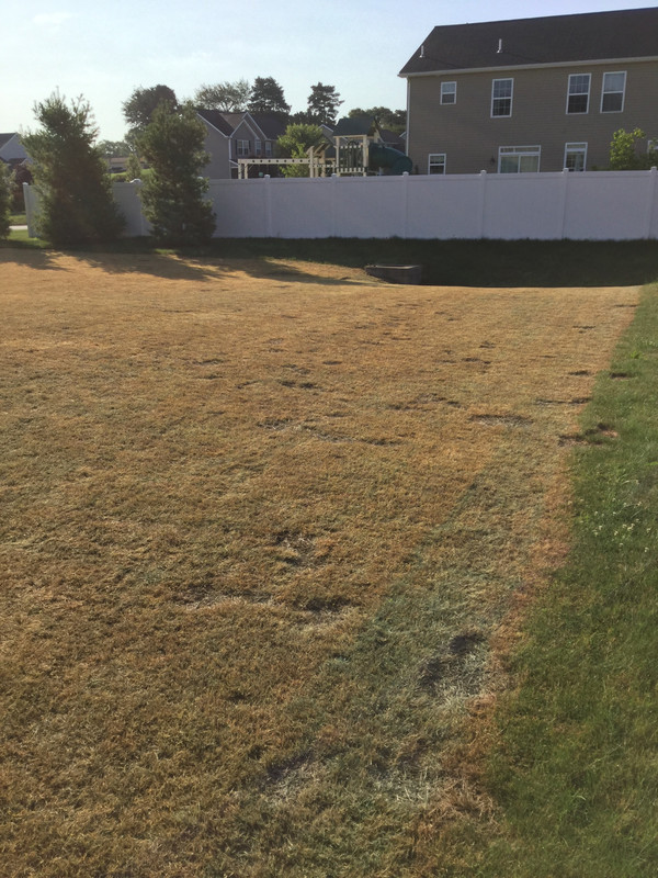 1E8A6D18-A09B-4F1D-9E75-F4F1534620E9