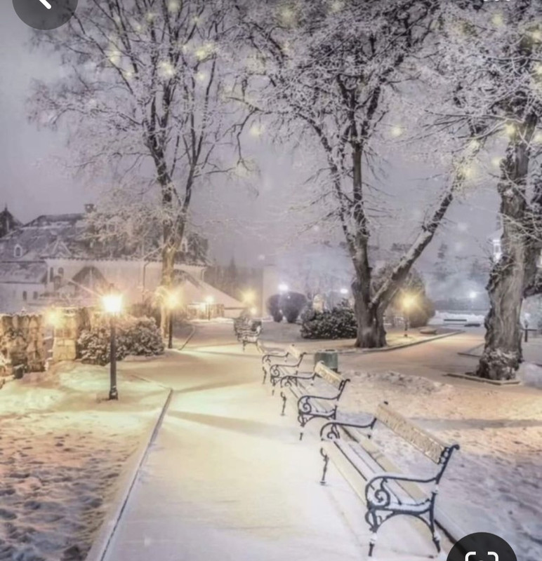 Screenshot_20240116_214719_Pinterest