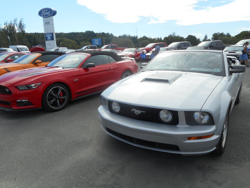 Rendez-Vous Mustang Cliche Auto Ford - 14 août 2022 Cliche2022-45