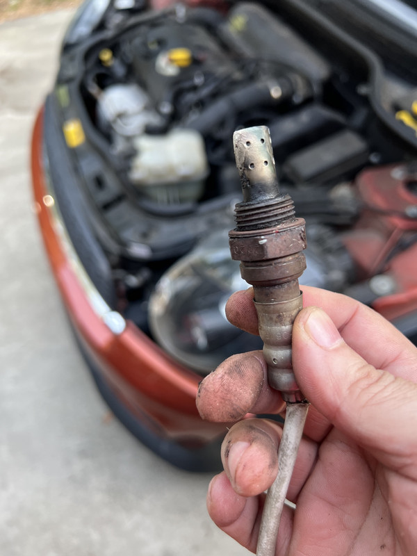 F5AC8E75-01E7-4A8B-AC87-3493C92746F1