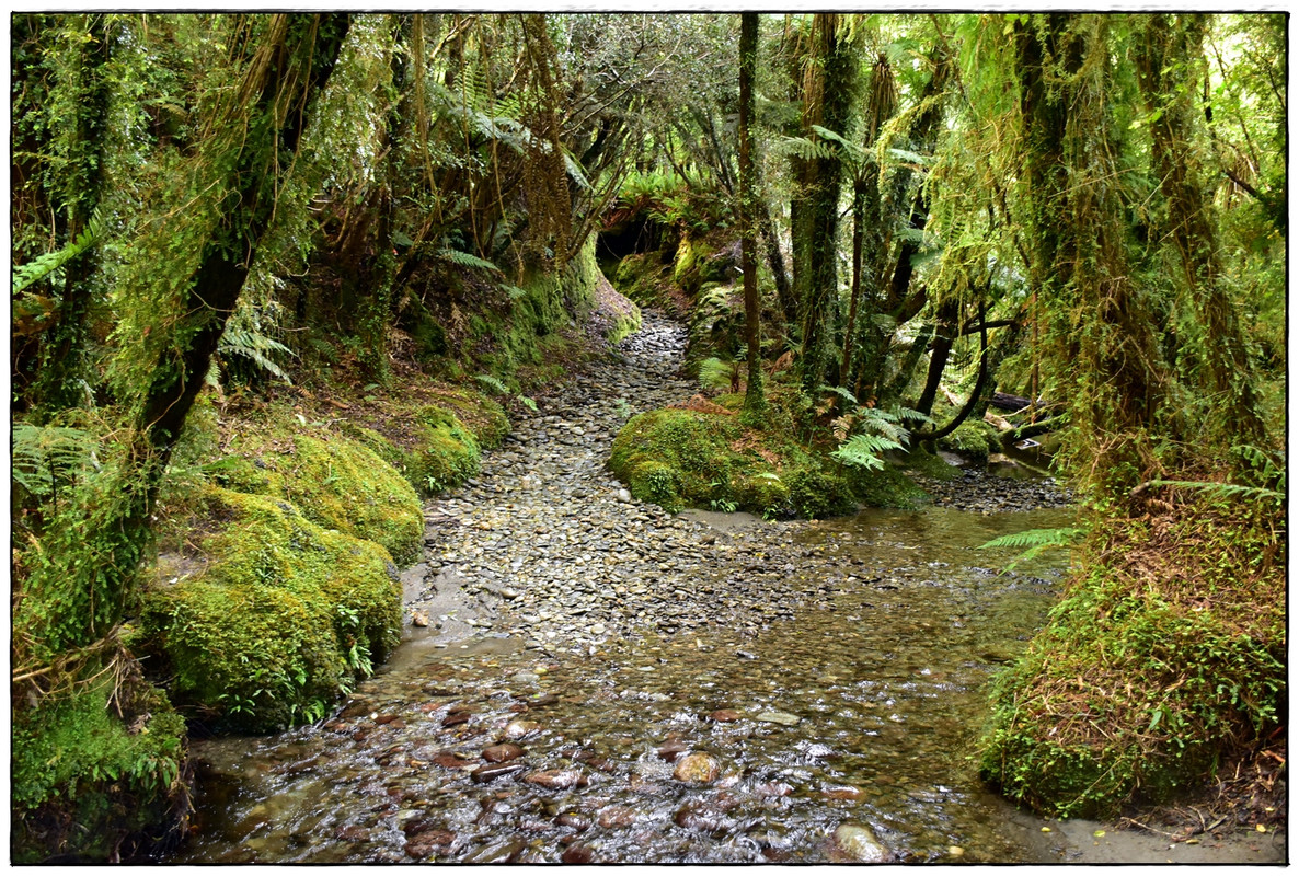 West Coast: Copland Track (diciembre 2021) - Escapadas y rutas por la Nueva Zelanda menos conocida (5)