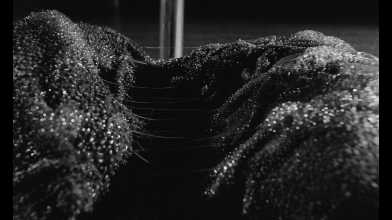 vlcsnap-2023-12-19-22h07m54s127