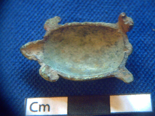 roman tortoise 016