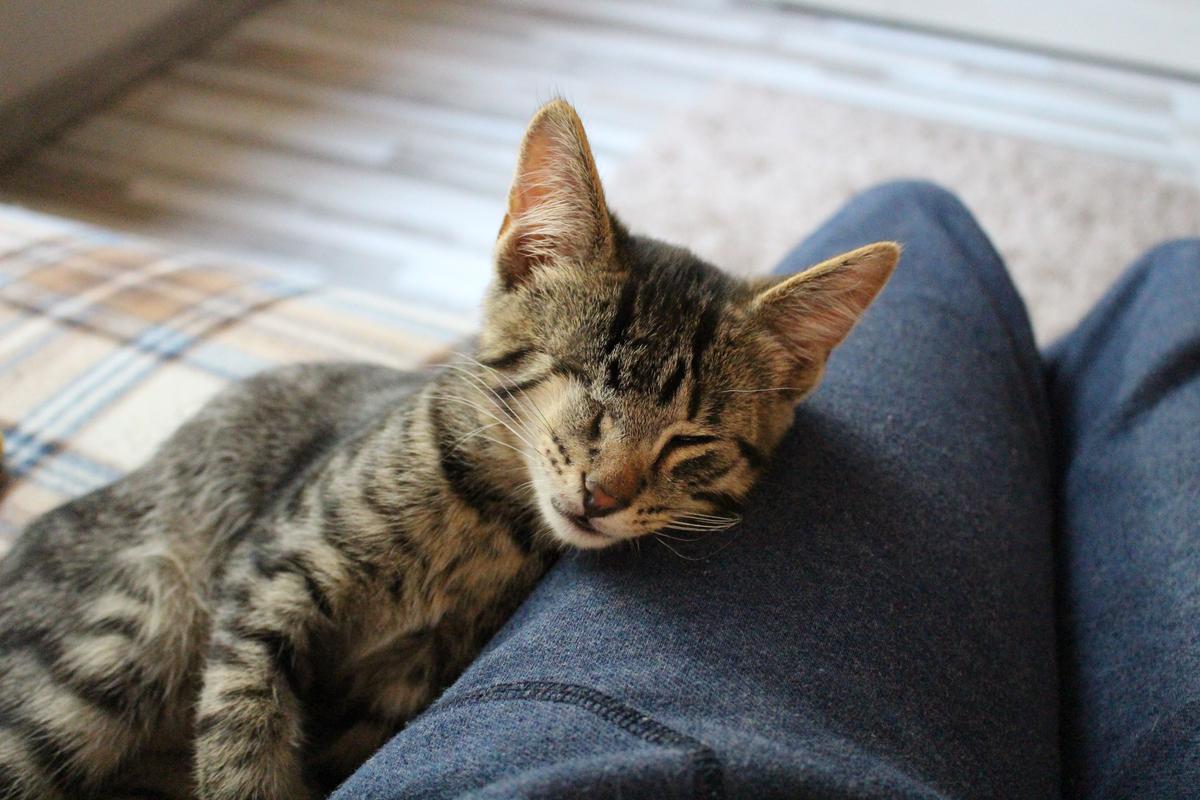 9BA830AE-7CC3-498B-89D8-FFF292CDAFE2