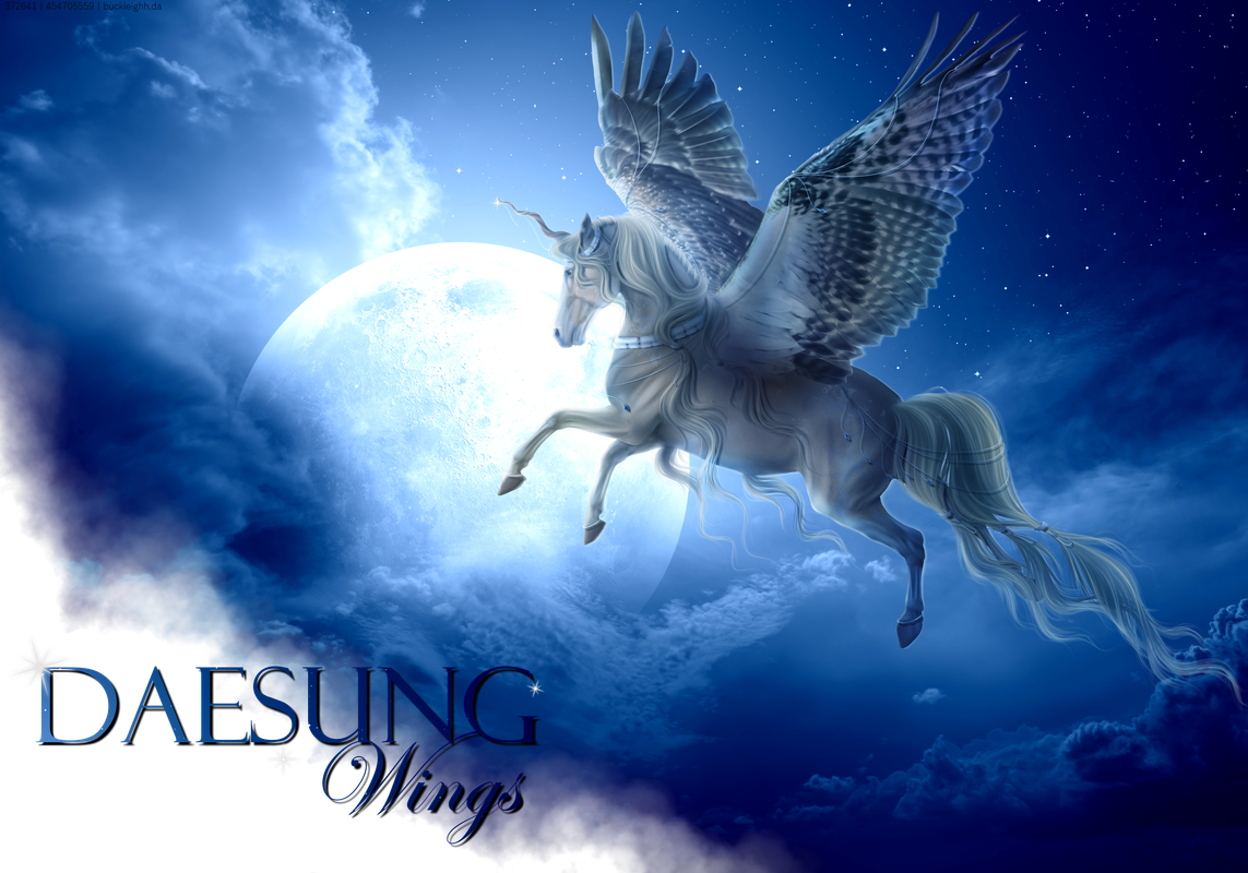 Dae-Moon-Flyer-Bio-Cut.png