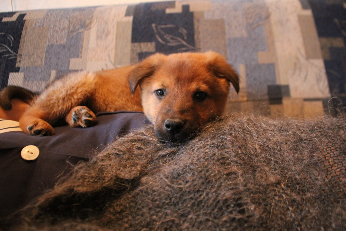 422FCA07-A4DC-4524-AD65-369582347BD8