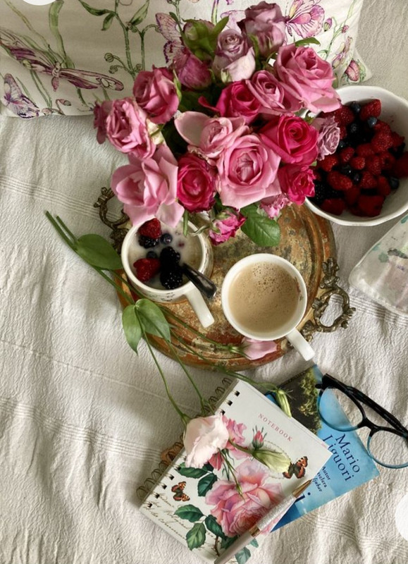 Screenshot_20221227_013349_Chrome