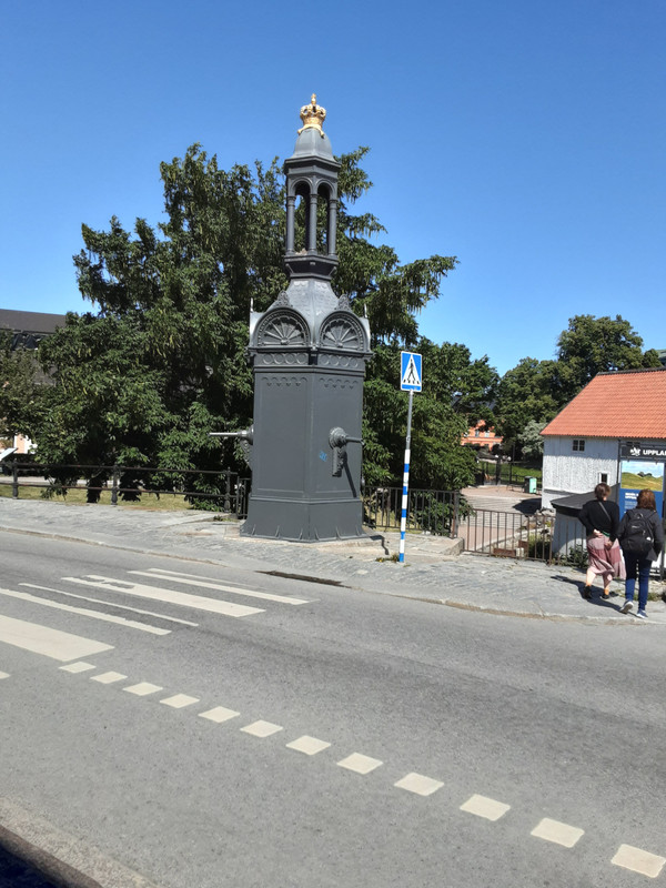 20250629-101751.jpg