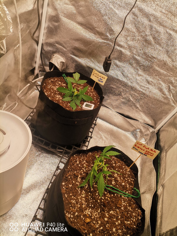 WhatsApp Image 2025-09-19 at 22.05.17 (1)