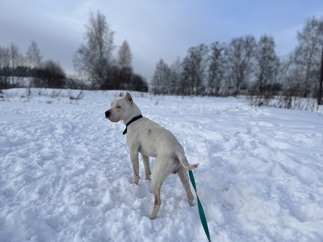 EF7531E1-F0D8-4FD8-B53F-C3C98027BF1A