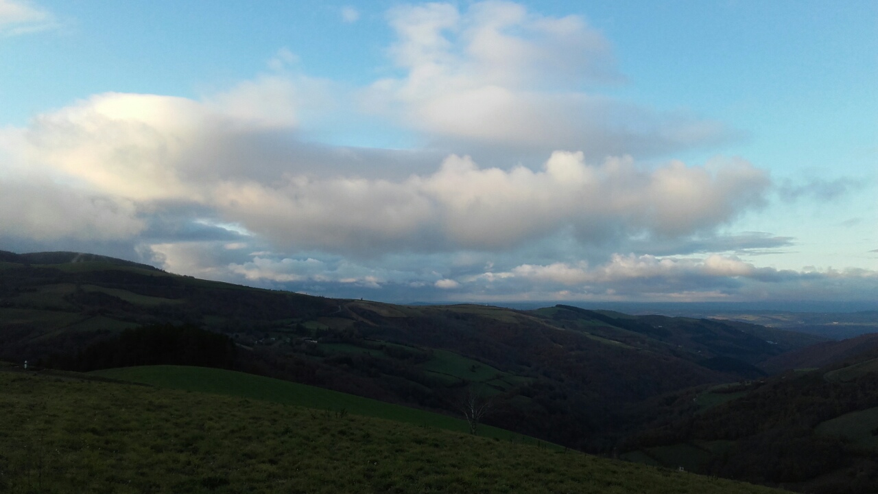 мусс на прогулке3