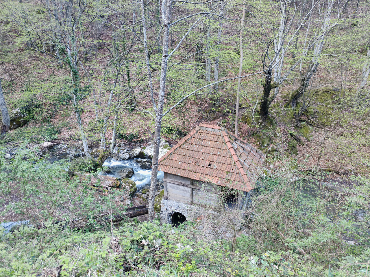 IMG 20260418 063322