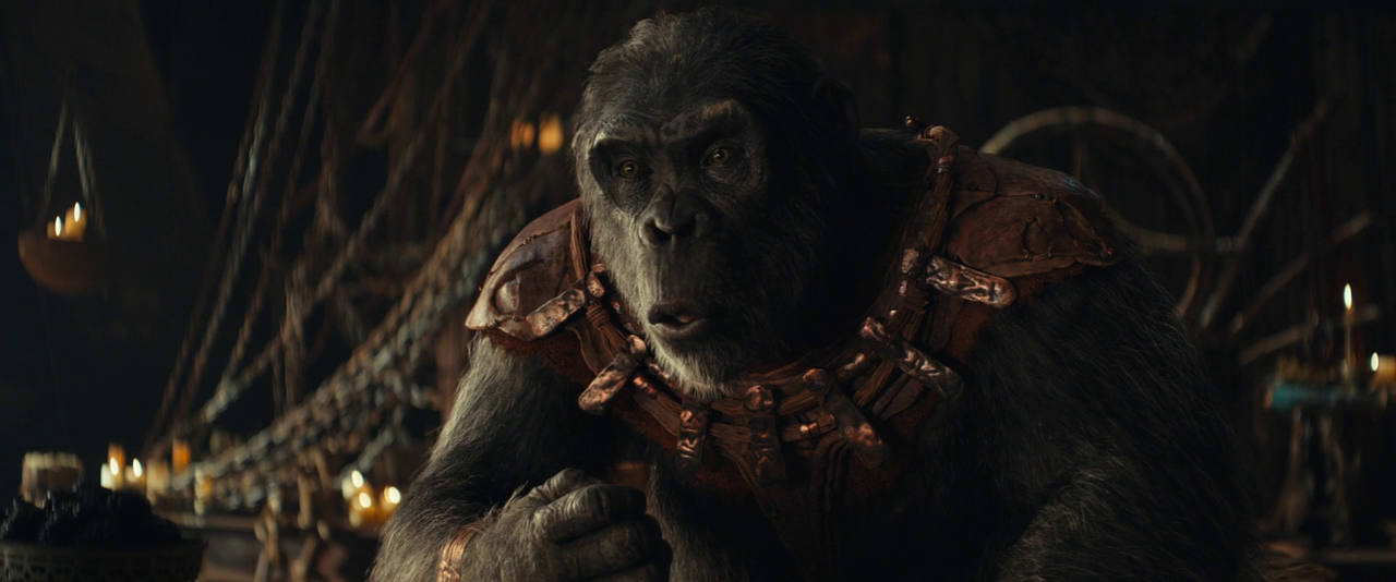 vlcsnap-2024-10-03-09h47m21s897