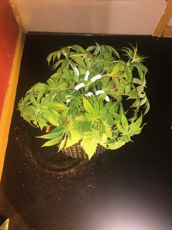 EB807BDF-15A4-4D6E-B6DF-984A8409779E