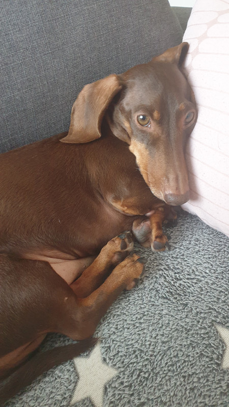 [Image: 20240524-074546.jpg]