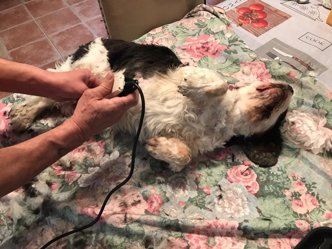 CE6A4D47-52F8-4302-918C-65E8FBCA2B16