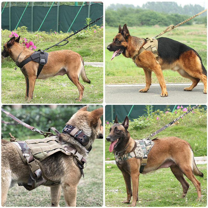tactical bungee leash