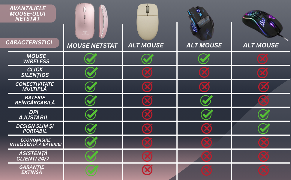 Mouse NETSTAT Prezentare 8