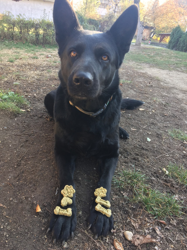 76FA2BE4-356B-46AF-BB35-9CA68F258E99