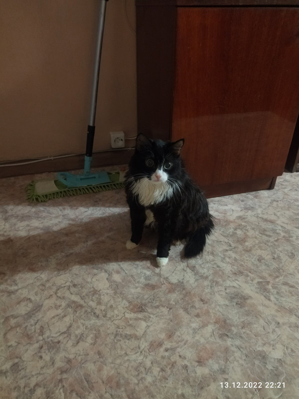 2022-12-13_22-22-51-320