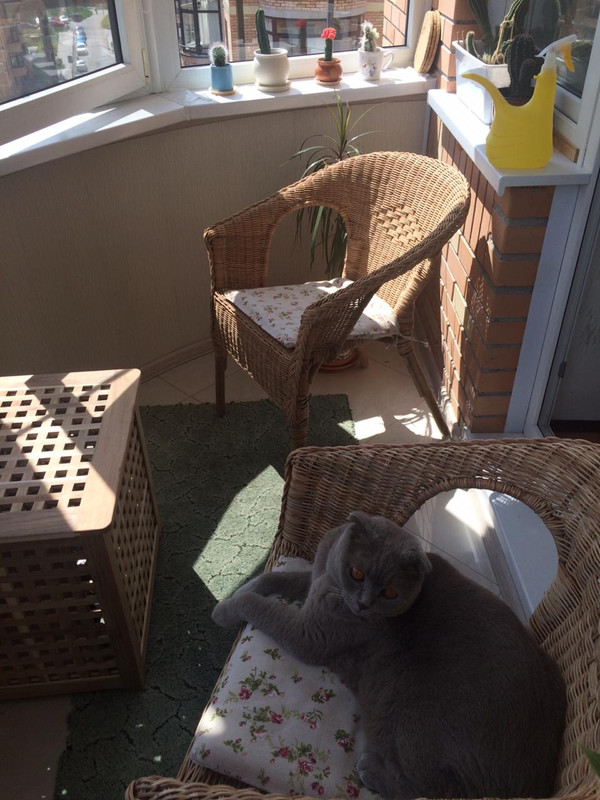 WhatsApp Image 2020-06-07 at 12.06.49