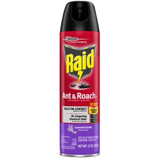Raid ant