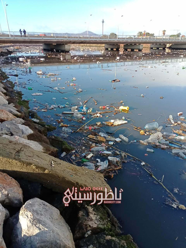 598700142-2003361087063301-6675803233547115161-n