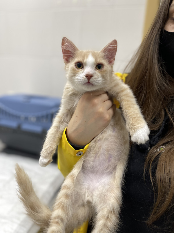 1A5EC556-452D-46FC-A7F6-114674062EC6