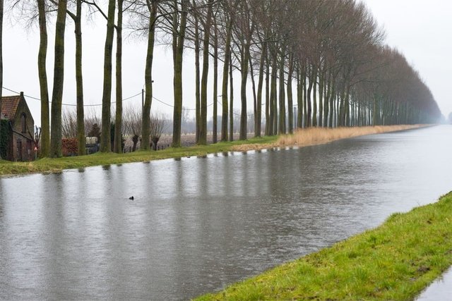 https-static-nieuwsblad-be-Assets-Images-Upload-2017-02-20-36cb579a-f7a4-11e6-9de2-b2258916ac3d-we.jpg