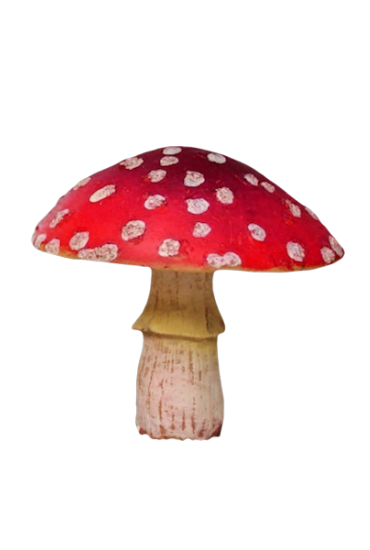 Mariposa_Kit_108