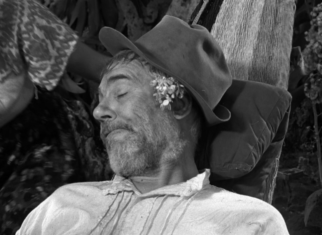 The Treasure of the Sierra Madre (1948) (1080p BluRay x265 LION)