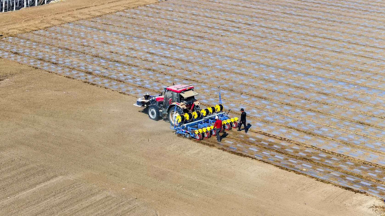 Картина механизированного посева хлопка в Боро-Тала-Монгольском автономном округе Синьцзяна впечатляет до глубины души.
