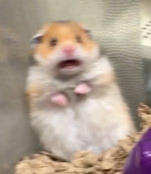 aa.jpg