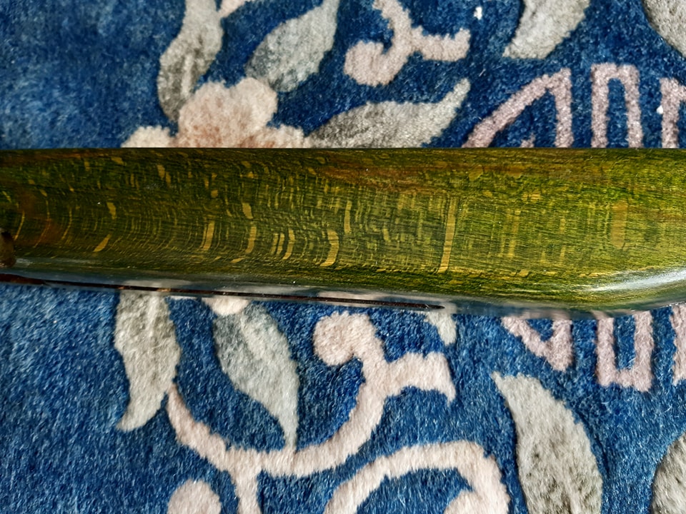 454499948_1174566173656634_40362416009386311_n