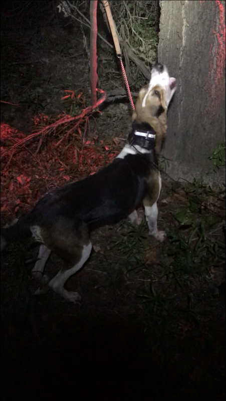 EC08259D-9CA2-4BA1-B428-05DC203C71BA