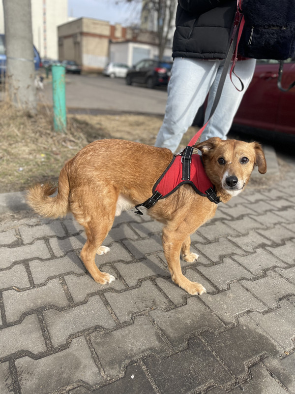 6D3E0A8A-CBC2-4609-AE37-D2C799F1ECCE