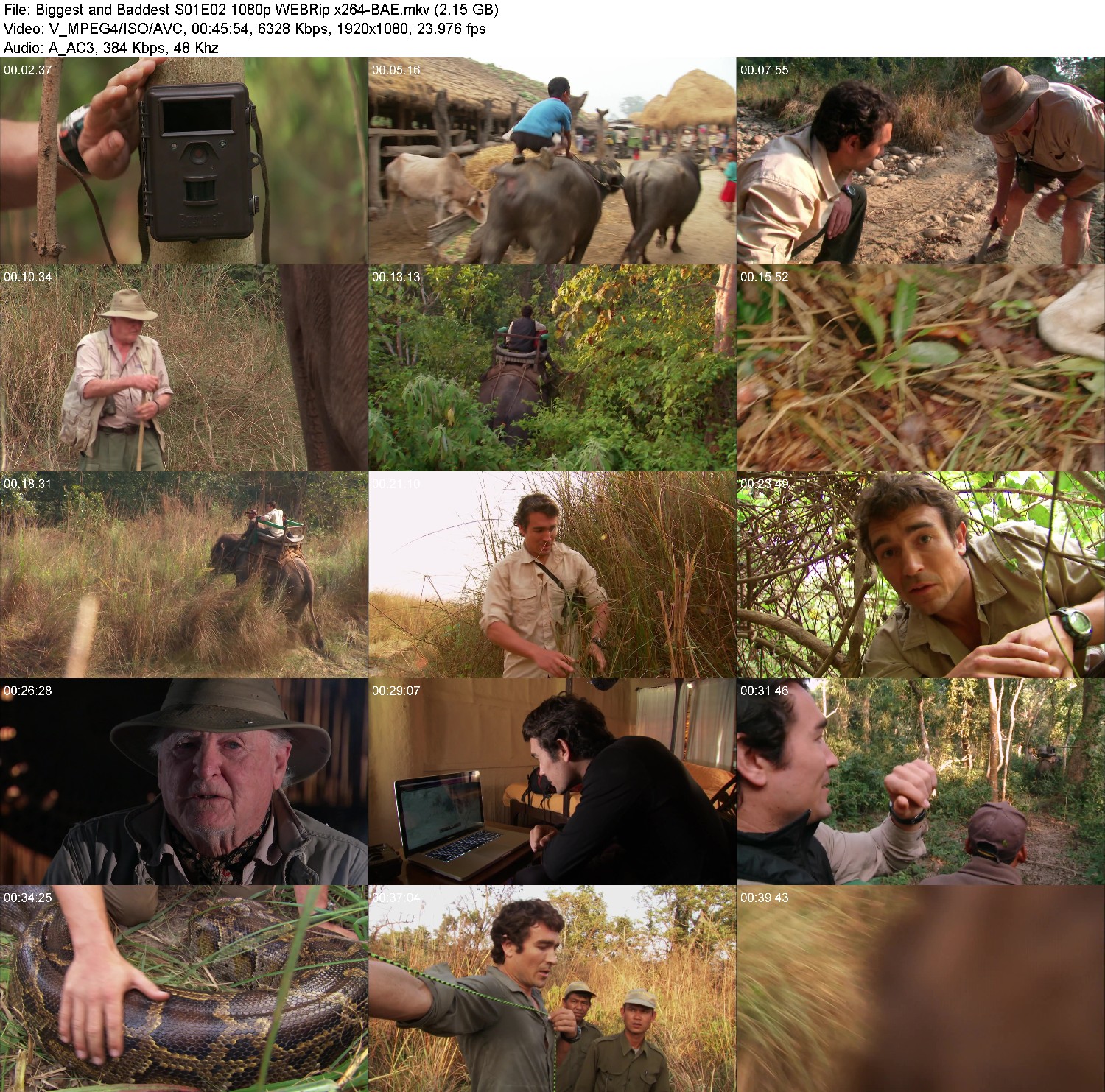 [Image: 6cl97vsxzh2j.jpg]