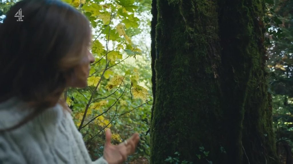 [Image: y36tcl4i6zzl.jpg]