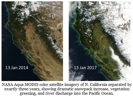 California-Greening.jpg