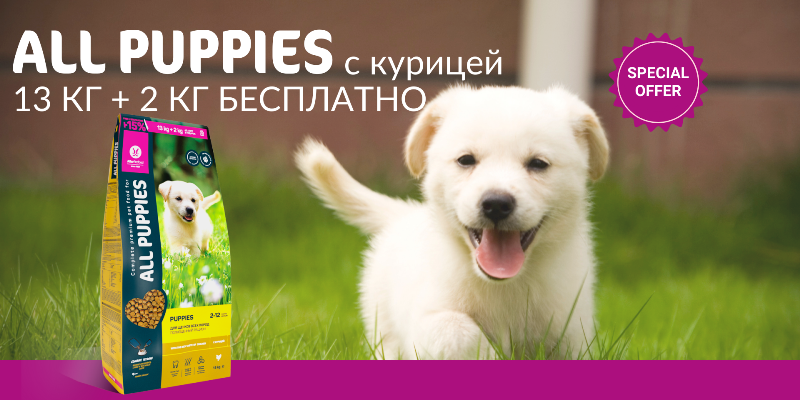 all_puppies.13 2_ср