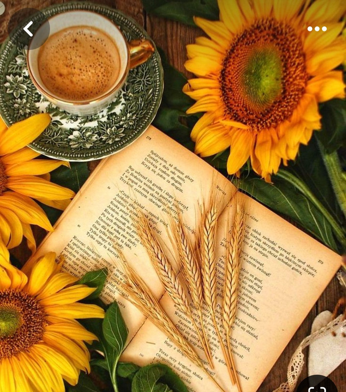 Screenshot_20240610_224531_Pinterest