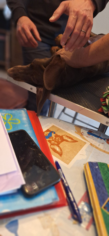 [Image: 20251002-174342.jpg]