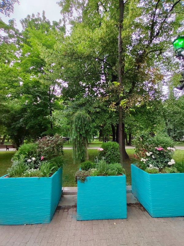 https://i.postimg.cc/gcfrwJ38/16-IMG-20250611-151100.jpg