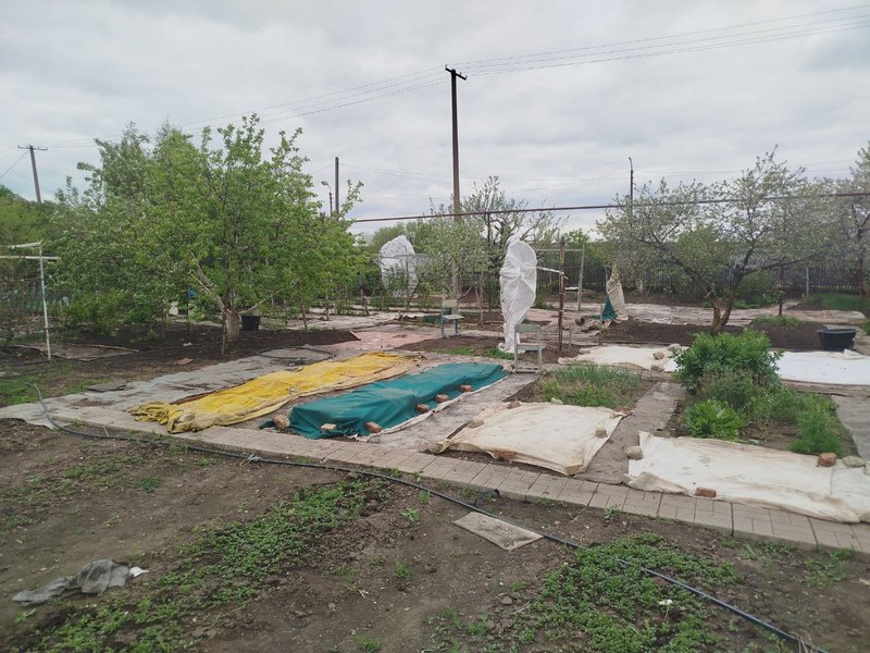 photo-2025-04-27-21-24-13